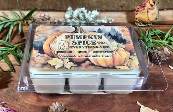 Pumpkin Spice and Everything Nice wax melts